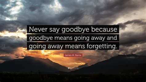 never say goodbye because means.